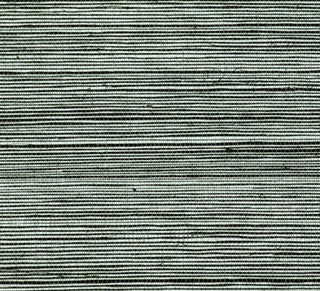 Scalamandre Wallpaper G1179-001 Ginza Metallic Silver