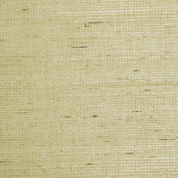 Scalamandre Wallpaper G1193-003 Sisal Wheat