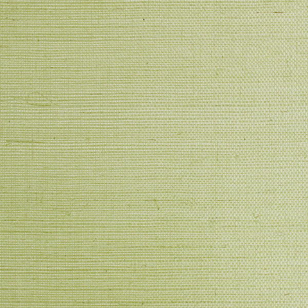 Scalamandre Wallpaper G1193-018 Sisal Leaf