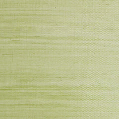 Scalamandre Wallpaper G1193-018 Sisal Leaf