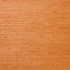 Scalamandre Wallpaper G1193-020 Sisal Calypso