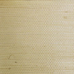 Scalamandre Wallpaper G1195-002 Tightweave Jute Tan