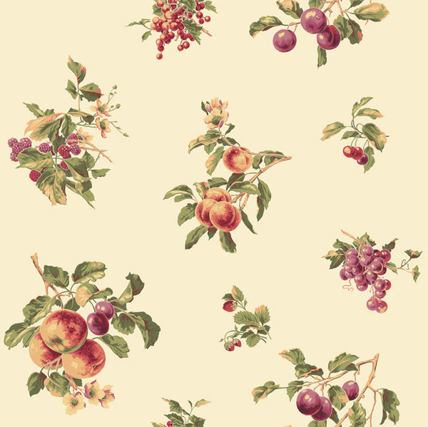 York JG0712 Casabella Fruit Spot Wallpaper