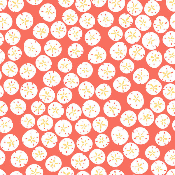York KB8555 Bistro 750 Sand Dollars Wallpaper