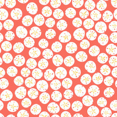 York KB8555 Bistro 750 Sand Dollars Wallpaper