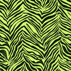 York KS2297 Cool Kids Ikat Zebra Wallpaper