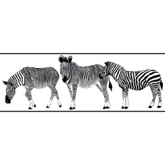 York Wallpaper KW7765BD Border Portfolio II Zebra Border