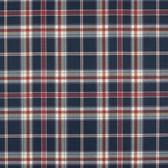 Ralph Lauren Fabric LCF20992F Tisbury Madras Navy
