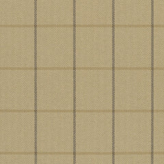 Ralph Lauren Fabric LCF50279F Westerly Tattersal Twine