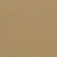 Ralph Lauren Fabric LCF64266F Burke Wool Plain Camel Hair