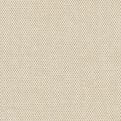 Ralph Lauren Fabric LCF64788F Salt Marsh Raffia