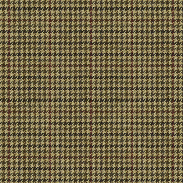Ralph Lauren Fabric LFY17010F Glengariff Plaid Loden