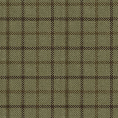 Ralph Lauren Fabric LFY19466F Gauciel Green