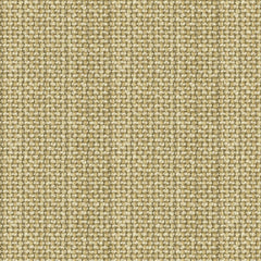 Ralph Lauren Fabric LFY30064F Hayes Cork