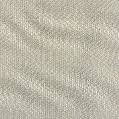 Ralph Lauren Fabric LFY60074F Argentum Weave Silver