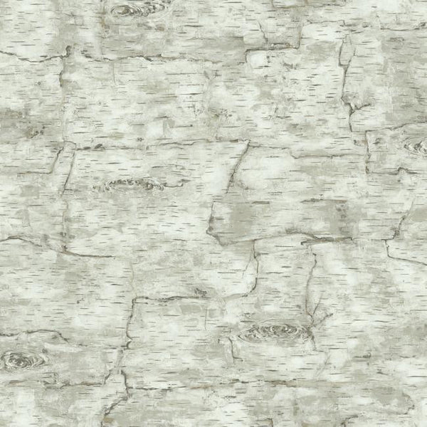 York LM7987 Country Book Birch Bark Wallpaper