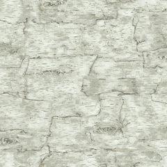 York LM7987 Country Book Birch Bark Wallpaper