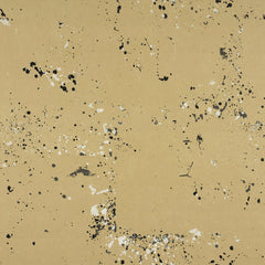 Ralph Lauren Wallpaper LWP50900W Painters Studio Kraf Kraft