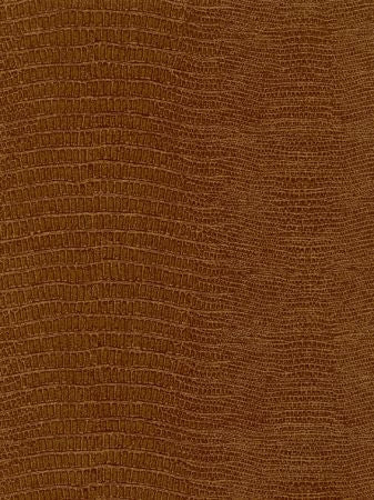 Ralph Lauren Wallpaper LWP62745W Pantanal Lizard Saddle