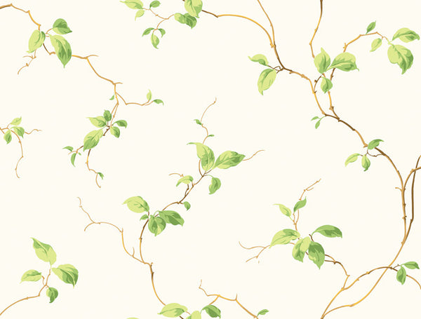 York NH6022 Casabella Leaves Wallpaper