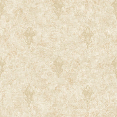 York NK2098 Nantucket Ornamental Toile Spot Wallpaper