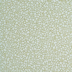 Baker Lifestyle Wallpaper PW78017.2 Ming Aqua/Gilt