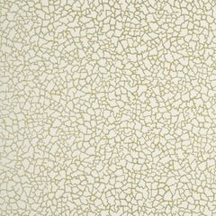 Baker Lifestyle Wallpaper PW78017.4 Ming Honeycombe/Gilt