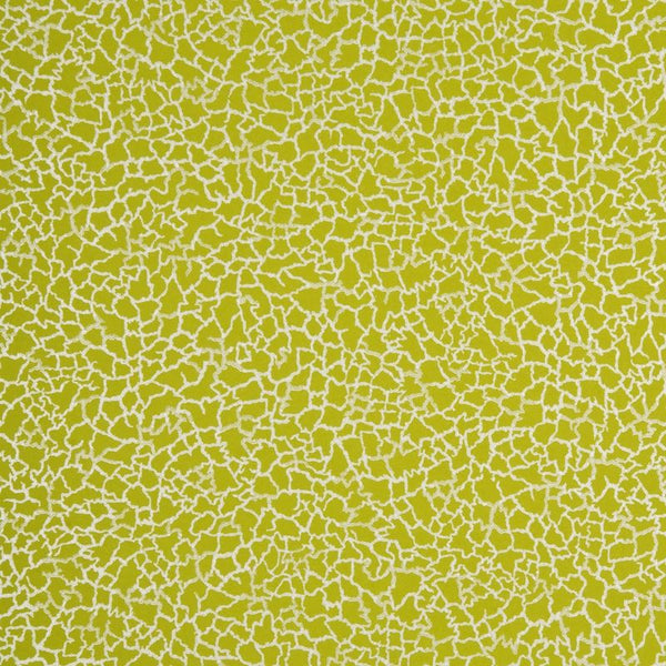 Baker Lifestyle Wallpaper PW78017.8 Ming Lime/Silver