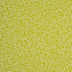 Baker Lifestyle Wallpaper PW78017.8 Ming Lime/Silver