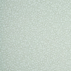 Baker Lifestyle Wallpaper PW78017.9 Ming Aqua/Silver