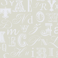 York RB4278 Peek-A-Boo Word Play Wallpaper