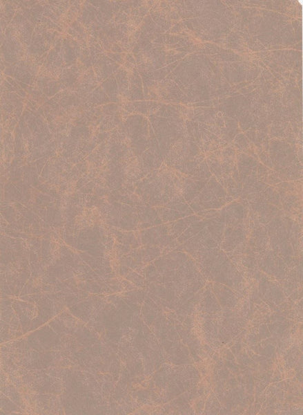 Kravet Design Wallpaper W3025.6 KF DES-WAL
