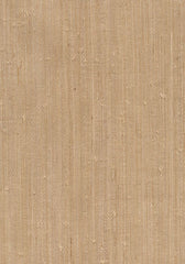 Kravet Design Wallpaper W3038.16 KF DES-WAL