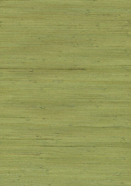 Kravet Design Wallpaper W3038.3 KF DES-WAL