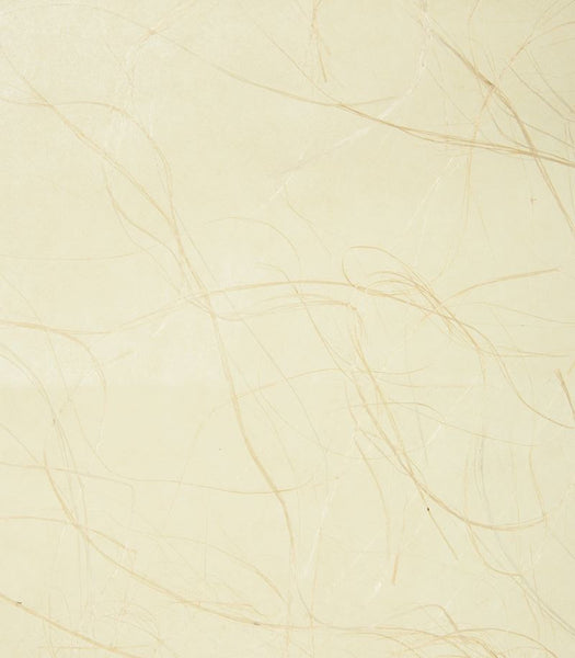 Kravet Design Wallpaper W3057.16 KF DES-WAL