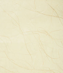 Kravet Design Wallpaper W3057.16 KF DES-WAL