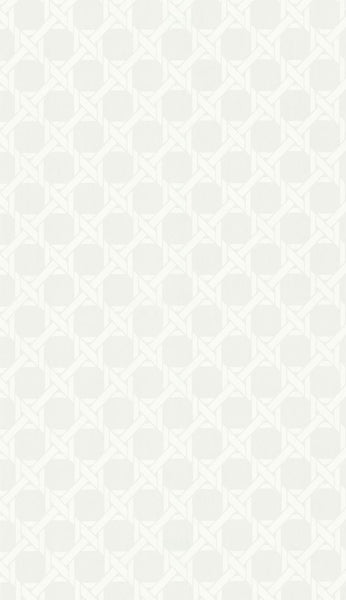 Kravet Design Wallpaper W3091.1 KF DES