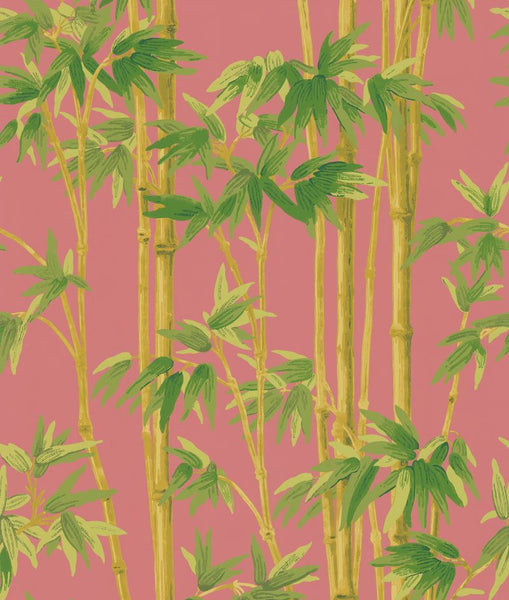 Kravet Design Wallpaper W3101.317 KF DES