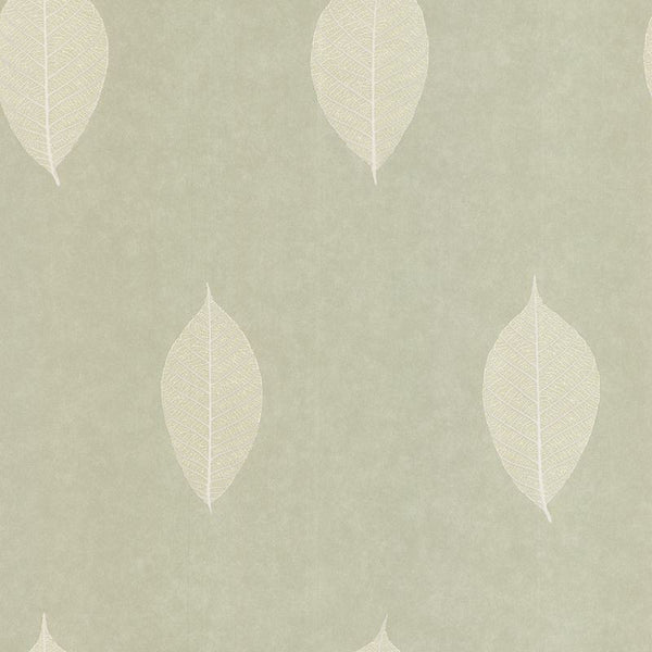 Kravet Design Wallpaper W3129.23