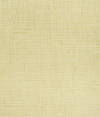 Kravet Design Wallpaper W3224.14