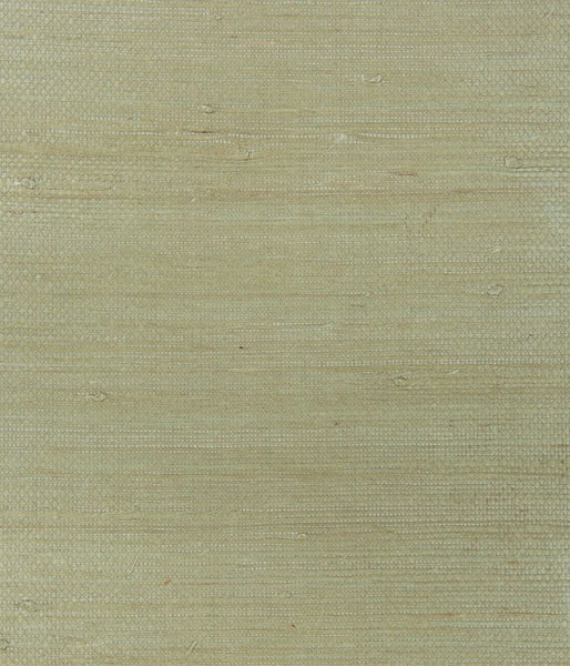 Kravet Design Wallpaper W3246.106