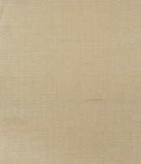 Kravet Design Wallpaper W3248.4