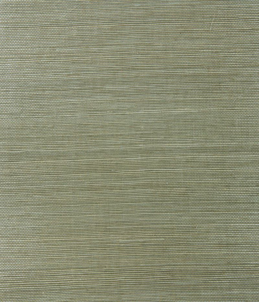 Kravet Design Wallpaper W3249.3