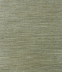 Kravet Design Wallpaper W3249.3
