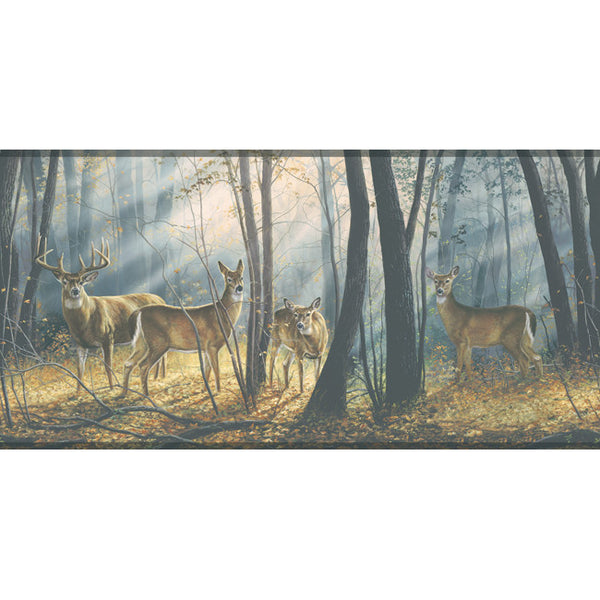 York Wallpaper WD4100B Border Portfolio II Woodland Splendor Border