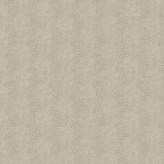 York Wallpaper WH2656 Primal