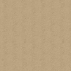 York Wallpaper WH2661 Primal