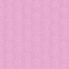 York Wallpaper WH2662 Primal