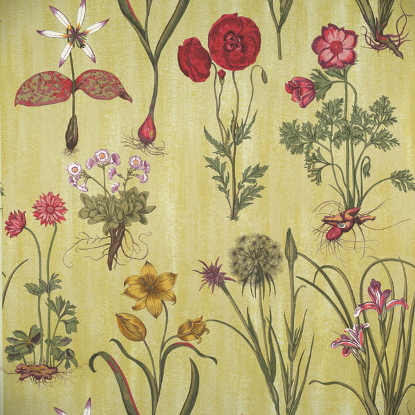 Scalamandre Wallpaper WP81602-003 Florentina Multi On Leaf Green