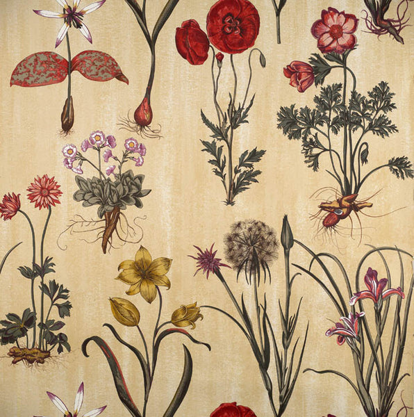 Scalamandre Wallpaper WP81602-004 Florentina Multi On Cream